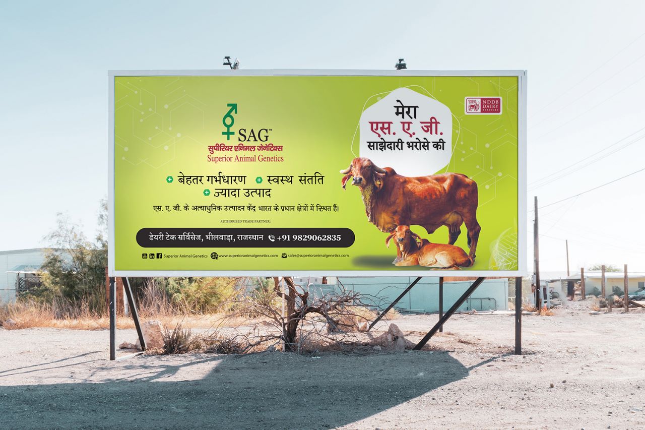 Outdoor Hoarding Design